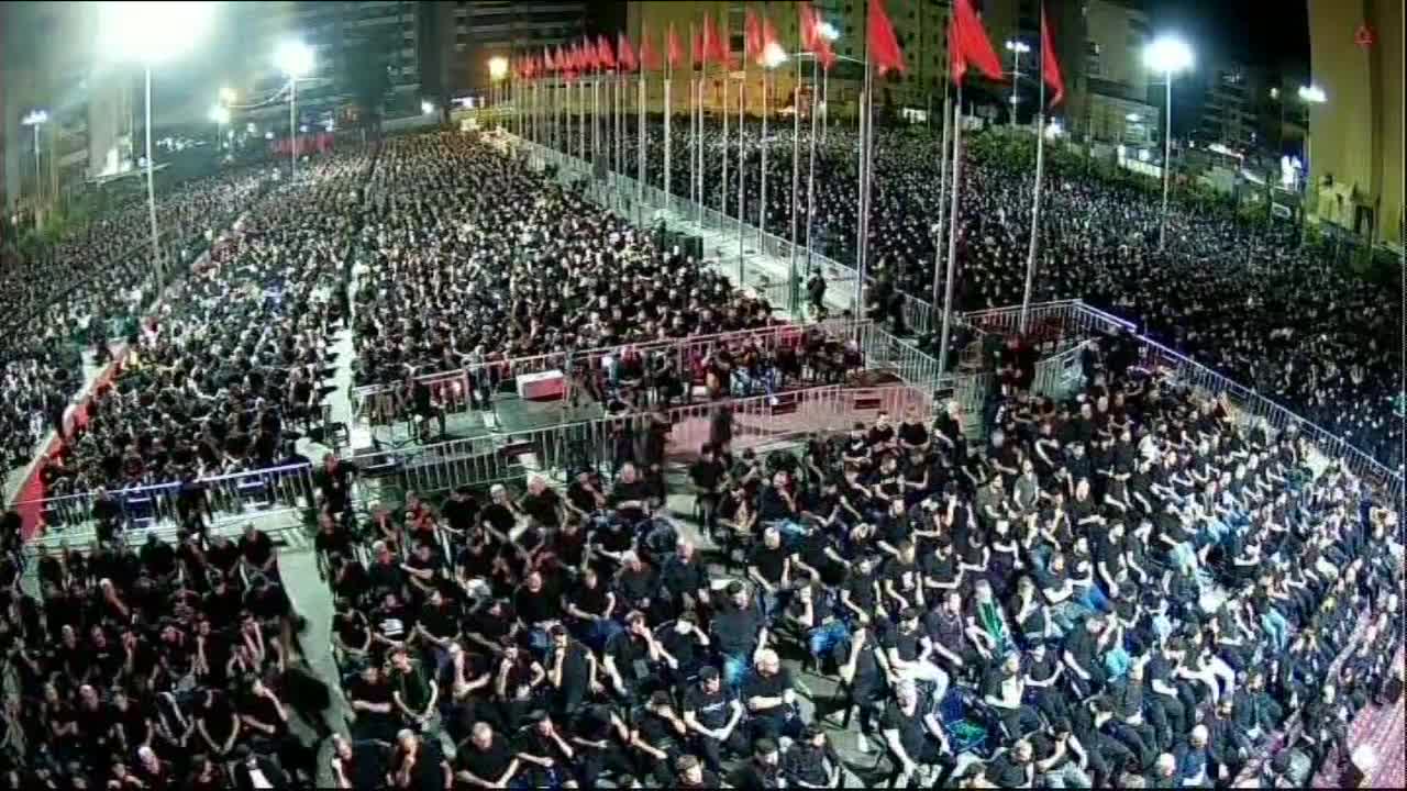باحة عاشوراء - الجاموس